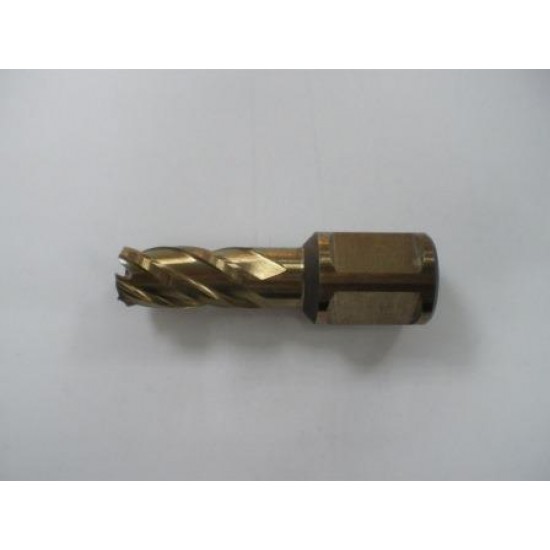 Alfra HSS Mag Drill Cutter 13mm